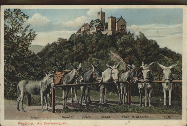 Esel Tiere Wartburg Hans Grethe Peter Liese