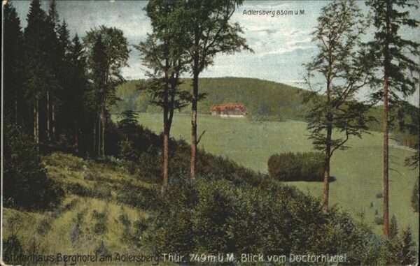 Verlag WIRO Wiedemann Nr. 917 Berghotel Adlersberg