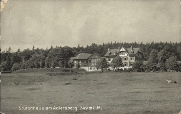 Verlag WIRO Wiedemann Nr. 1529 Stutenhaus Adlersberg