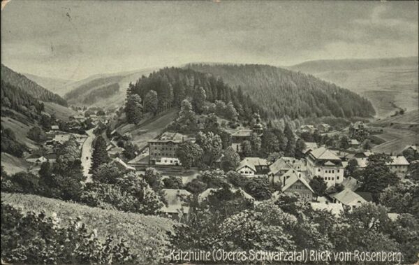 Verlag WIRO Wiedemann Nr. 799 Katzhütte Oberes Schwarzatal