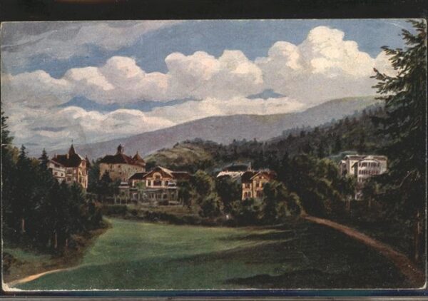 Verlag Wiedemann WIRO Nr. 3554 A Bad Elgersburg Sanatorium Dr. Pr
