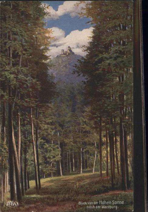 Verlag Wiedemann WIRO Nr. 3074 Wartburg Hohe Sonne