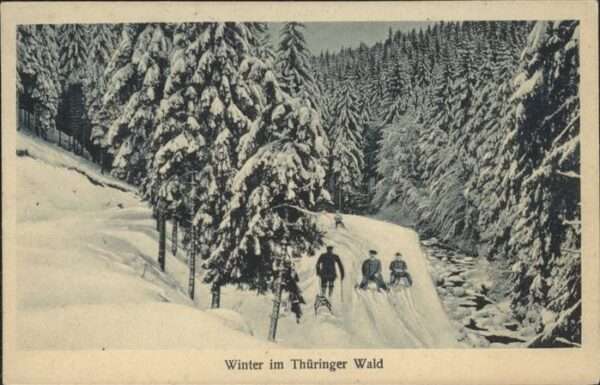 Schlitten Schnee Thüringer Wald