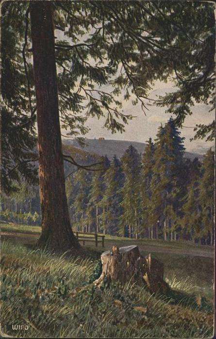Verlag WIRO Wiedemann Nr. 2599 A Inselsberg