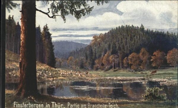 Verlag Wiedemann WIRO Nr. 1867 A Finsterbergen Brandleite-Teich