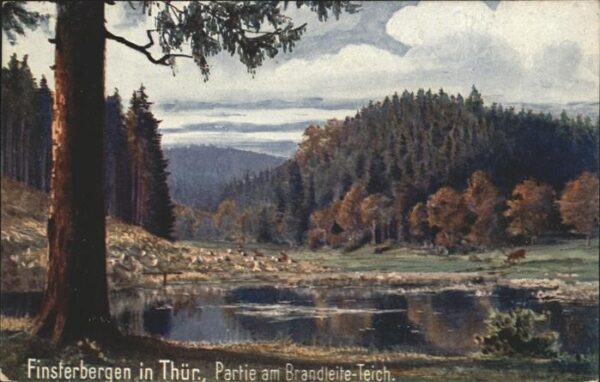Verlag Wiedemann WIRO Nr. 1867 A Finsterbergen Brandleite-Teich