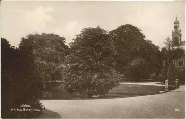 Leiden Hortus Botanicus
