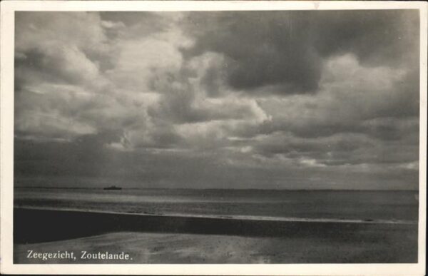 Zoutelande Zeegezicht