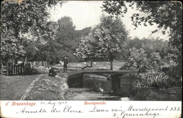 Gravenhage Boschgezicht