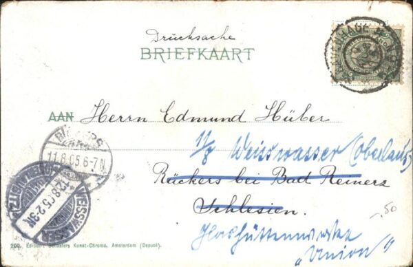 Gravenhage Boschgezicht – Bild 2