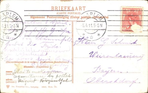 Hillegom Hyacinthenvelden Blumenfeld – Bild 2
