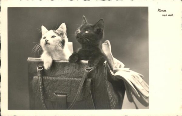 Katzen Tasche