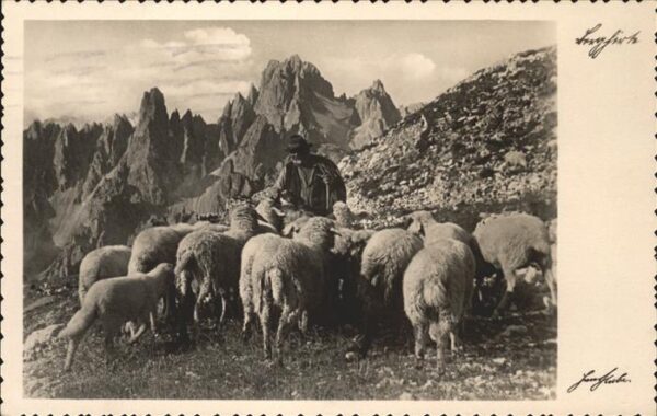 Hirte Schafe Huber-Postkarte Nr. 4420