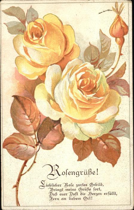 Rosen
