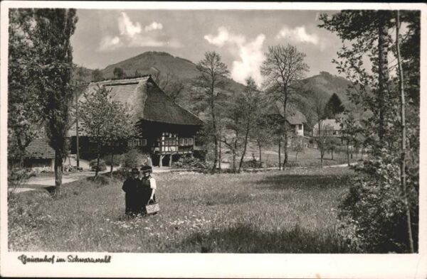 Bauernhof Schwarzwald