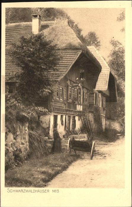 Verlag Elchlepp Nr. 3 Schwarzwaldhaus