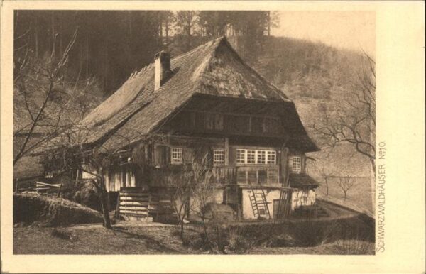 Verlag Elchlepp Nr. 10 Schwarzwaldhaus