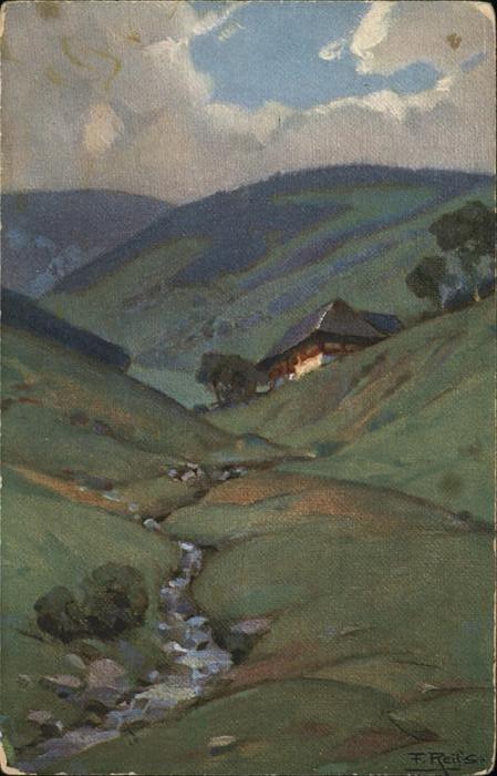 Reiss Fritz Nr. 14 Sommer im Schwarzwald