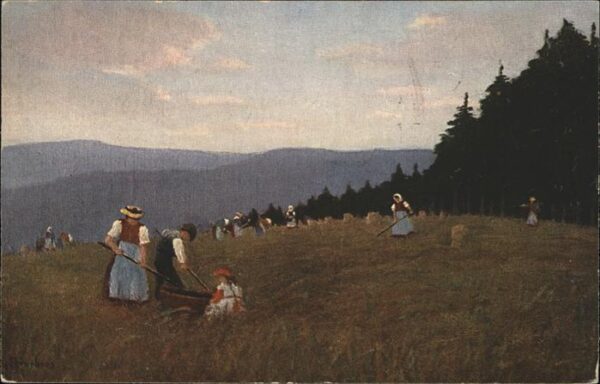 Harbers E. Nr. 24 Landwirtschaft Schwarzwald