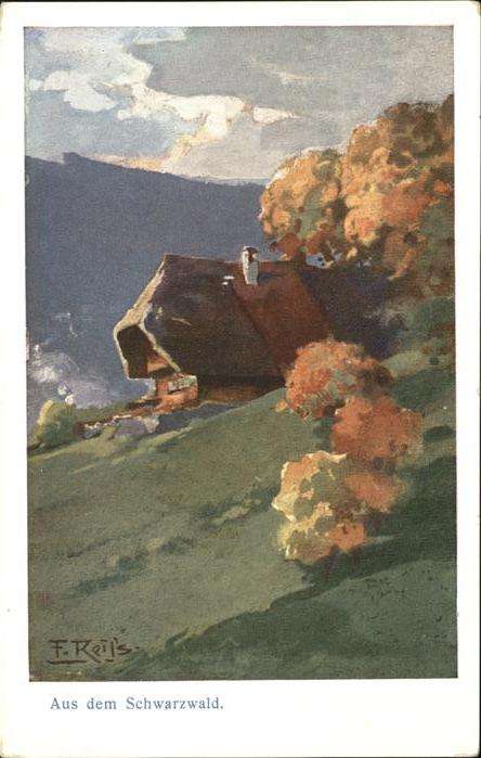 Reiss Fritz Nr. 3656 Schwarzwald