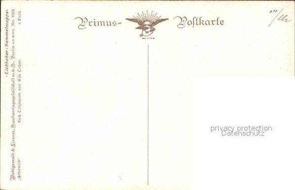 Verlag Primus Nr. 1159 Elsa Oehme Wilde Schwäne – Bild 2