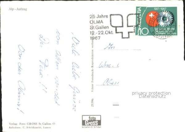Ziege Kuh Alp-Aufzug – Bild 2