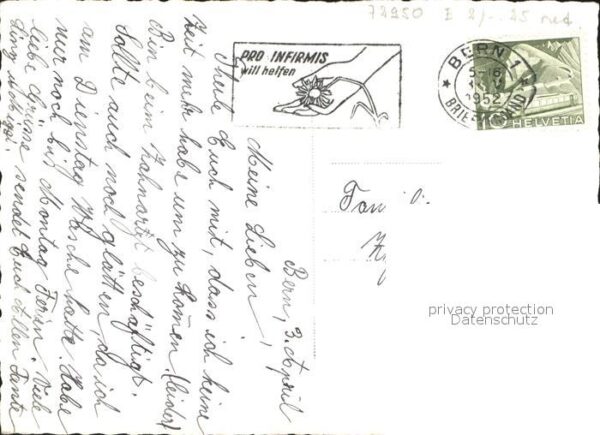 Baeren Bärengraben – Bild 2