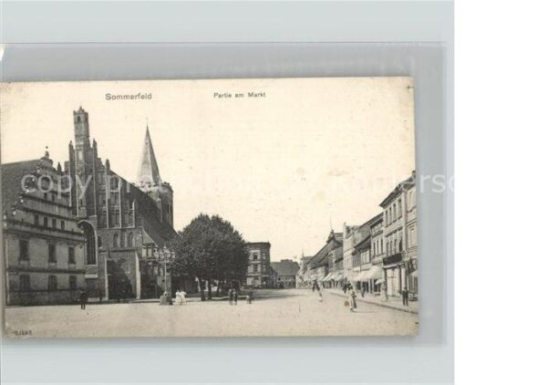 Sommerfeld Lubsko Partie am Markt
