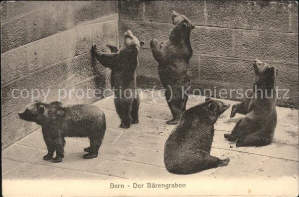 Baeren Graben Bern