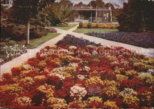 Gartenbauaustellung Erfurt Blumenbeet Nemesia