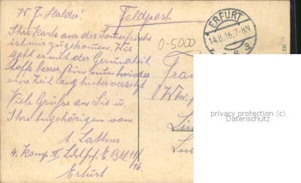 Pferdekutschen Erfurt Hauptbahnhof – Bild 2