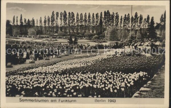 Gartenbauaustellung Sommerblumen am Funkturm Berlin