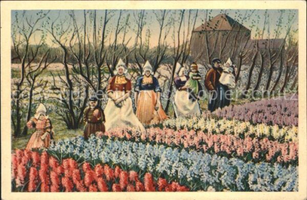 Trachten Holland Blumenfeld