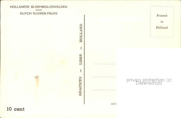 Trachten Holland Blumenfeld – Bild 2
