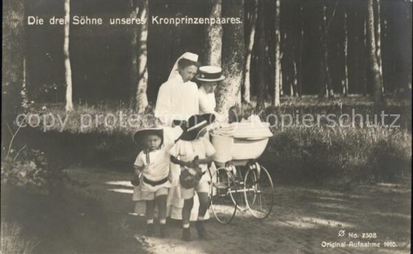 Adel Preussen Söhne des Kronprinzenpaares Kinderwagen