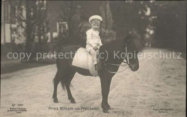 Pony Tiere Prinz Wilhelm von Preussen