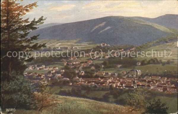 Verlag WIRO Wiedemann Nr. 2479 A Bad Blankenburg-Schwarzatal Grei