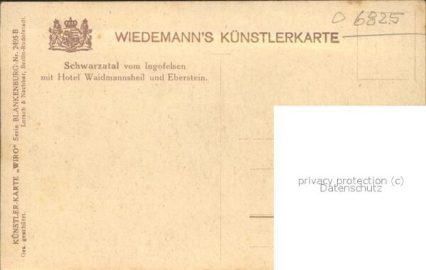 Verlag WIRO Wiedemann Nr. 2495 B Schwarzatal Hotel Waidmannsheil – Bild 2