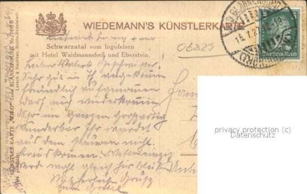 Verlag WIRO Wiedemann Nr. 2495 B Schwarzatal Hotel Waidmannsheil – Bild 2