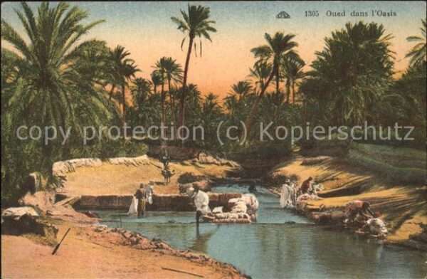Algerien Oued dans l'Oasis