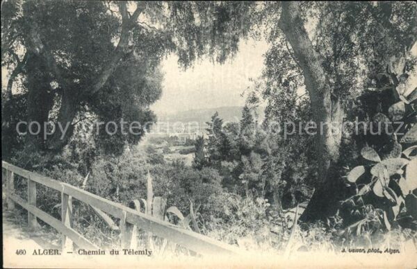 Alger Algerien Chemin du Telemly
