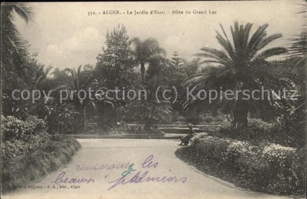 Alger Algerien Jardin d_essai Allee du Grand Lac