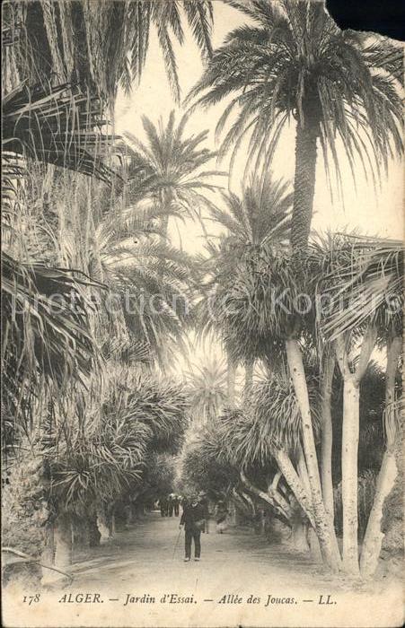 Alger Algerien Jardin d_essai Allee des Joucas