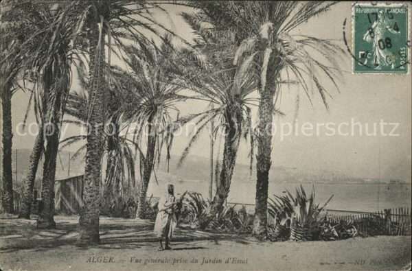 Alger Algerien Vue generale prise du Jardin d_essai St