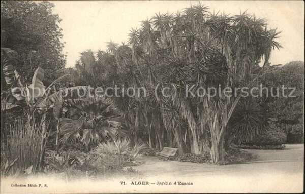 Alger Algerien Jardin d_essai