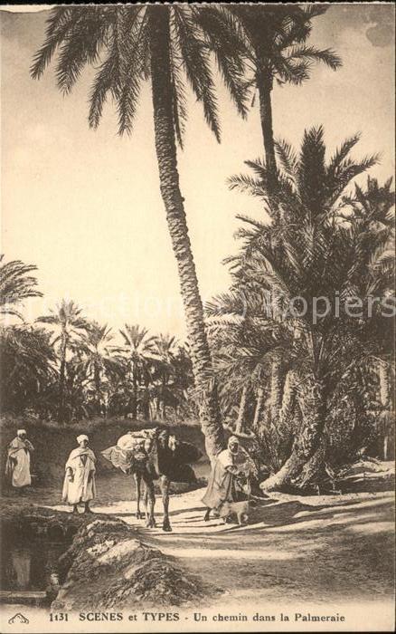Algerien Scenes et Types Chemin dans la Palmerai