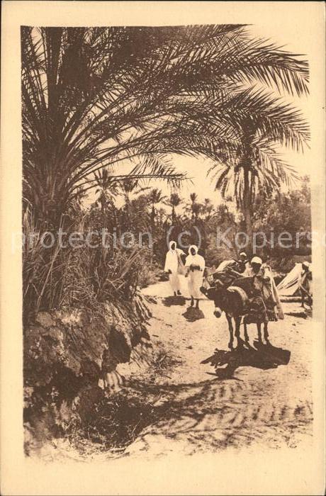 Bou Saada Chemin dans l'Oasis