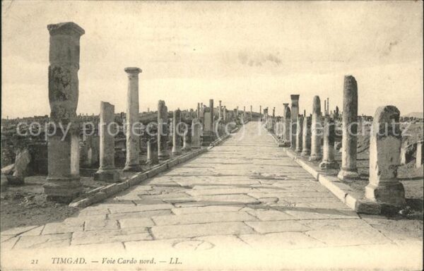 Timgad Ruines Romaines Voie Cardo nord