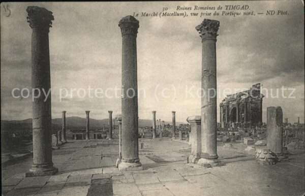 Timgad Ruines Romaines Le Marche Macellum vue