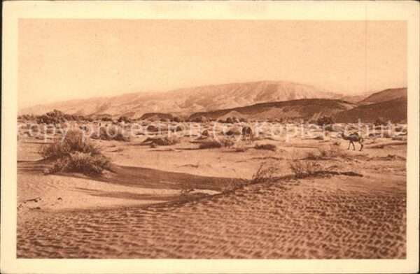 Algerien Region d_In Belrem Fetes du Centenaire